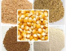 汉川 面向市场常年收购玉米，大豆