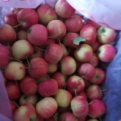 小苹果《123》纯天然果品出口多个国家海内外