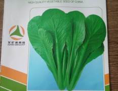 李沧翡翠30小白菜种子欢迎合作