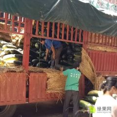 义乌小唐菜业 今天义乌蔬菜行情