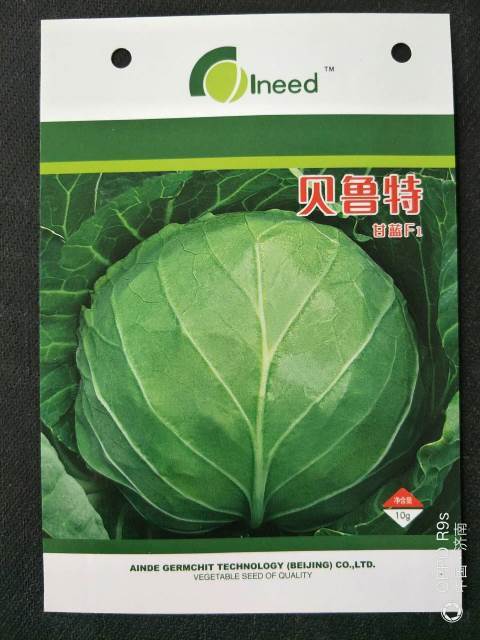 2018年山东李沧贝鲁特甘蓝价格