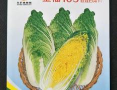 李沧金福103白菜种子