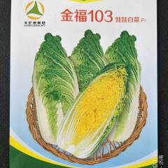 李沧金福103白菜种子