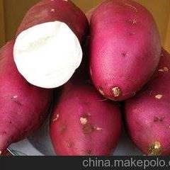 2019年鸿燕红薯培育合作社