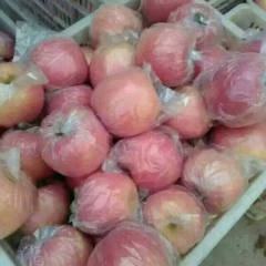 山东寒亭红将军苹果大量上市，个头大