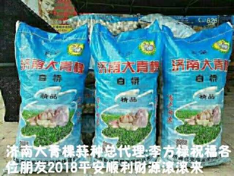 2018年山东商河济南大青棵价格