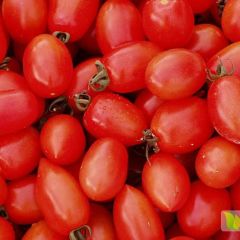 圣女果、千禧、樱桃番茄，长期全年需求