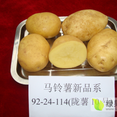 客户来甘肃收购土豆的标准惯例