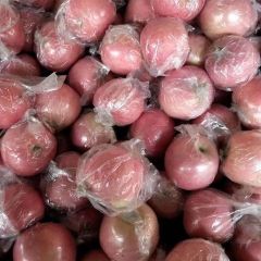 山西万荣纸加膜红富士苹果大量上市了