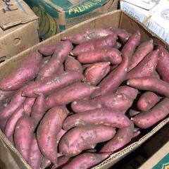 彰武大量出售西瓜红，味甜口感好