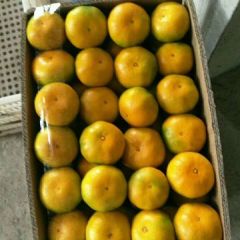 玉林唯一水果批发大市场 代销果品