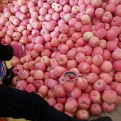 优质纸袋红富士热销中，请抓紧时机采购！