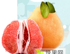 琯溪蜜柚，福建省漳州市平和县特产