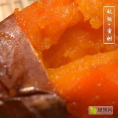 烟薯25 专业电商一件代发