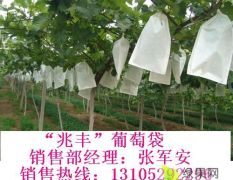 山东莱阳银通纸业生产葡萄袋