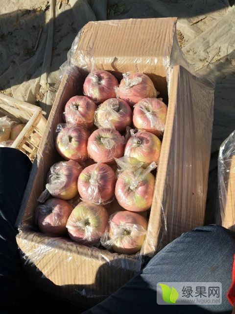 2018年陕西大荔红富士价格