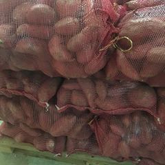 烟薯25和西瓜红，20元一袋