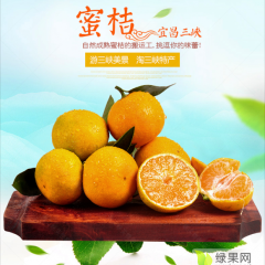 湖北车溪人家生态农业 宜昌蜜桔