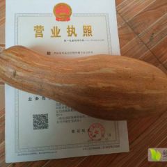 邓州南瓜 本地南瓜，西瓜地套种