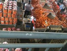 青岛兴豪果蔬合作社常年代购加工打冷胡萝卜