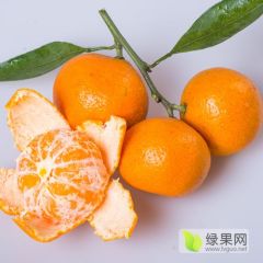 丹江口南水北调淡水湖养出来的大蜜桔