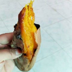 河北雄县烟薯25大量上市