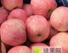 大荔苹果 水果品质特别好品种极全