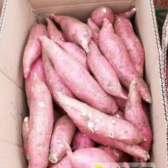 2018尉氏红薯 土地红著己大量上市，种植面积大