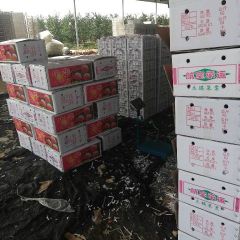 精品映霜红大量上市，产地直供