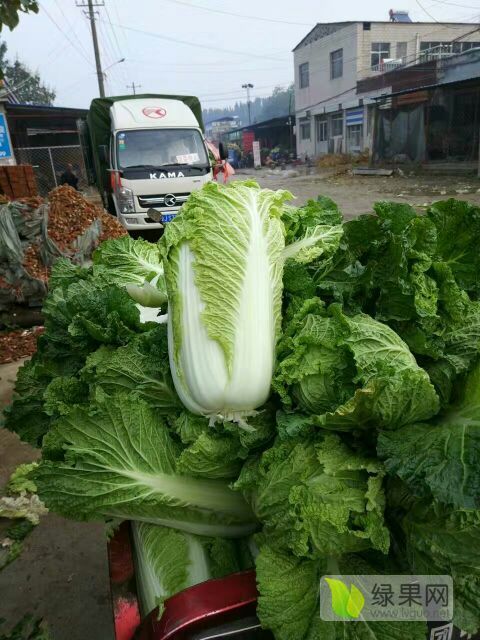 2017年山东滕州北京新三号价格