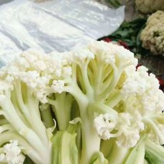 河口镇许楼青梗白面菜花