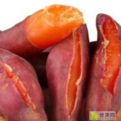 江苏榴香源大量出售西瓜红红薯