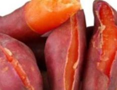 江苏榴香源大量出售西瓜红红薯
