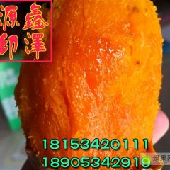 基地直供 纯沙土蜜薯