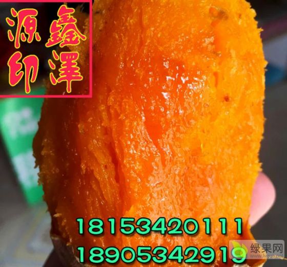2018年山东夏津烟薯系列价格