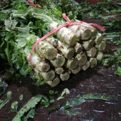 莴苣都是1.2至1.5斤左右质量好，价格低