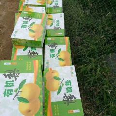 青岛秋月梨市场空白很大，有一些客户甚至都没见过