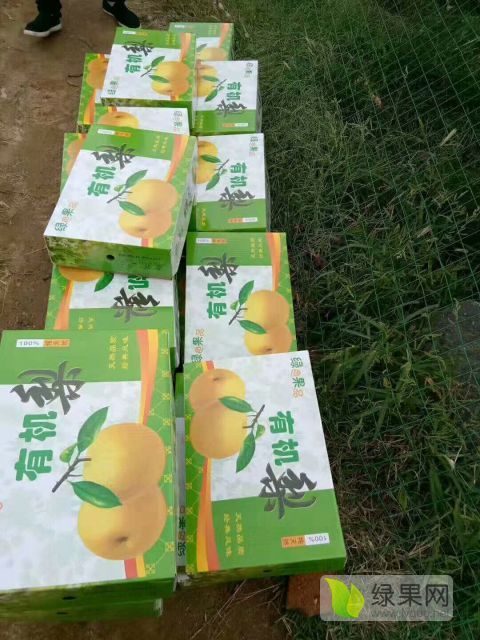 2018年山东莱西秋月梨价格