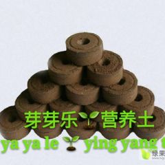 育苗营养基土块