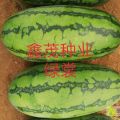 绿裳西瓜寻找合作伙伴