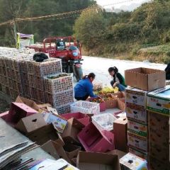 湘西南丰蜜橘~蜂蜜全球，品质的完美！