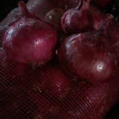 洋葱红紫黄皮发全国，代收代存代加工，冷库出租实力配资