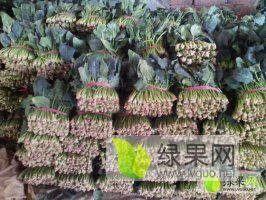 2018年山东东昌府大叶菠菜价格