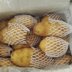 山东优质荷兰土豆