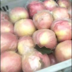 辛集我处大量斗南即将大量开采