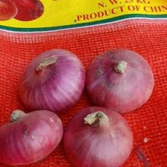 长年大量出售洋葱，紫红洋葱大量出售