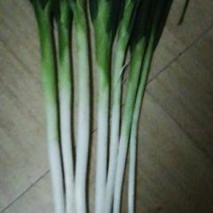 万荣高村乡长白大葱 销往全国各地市场。