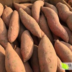 嵩县红薯淡红皮桔红肉，皮薄，粘糯甜度大