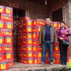 麻阳冰糖橙潘大姐金牌代办冰糖橙柑橘