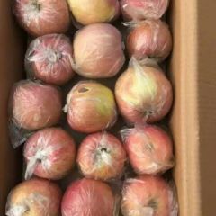 高原红富士苹果开始上市产地直销价格
